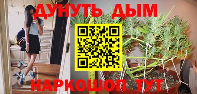 Альфа ПВП Новокубанск