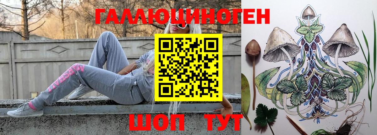 Галлюциногенные грибы Psilocybe Сорочинск